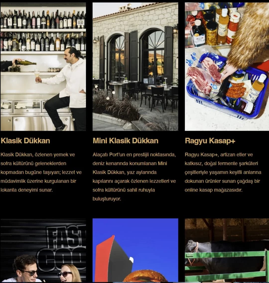 Velvet Fox Group E-Ticaret & Dijital Büyüme proje görseli 3