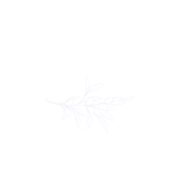 OS