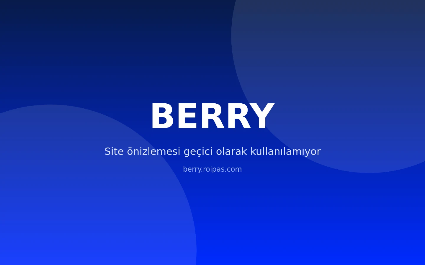 Berry Web Site Tasarımı projesi