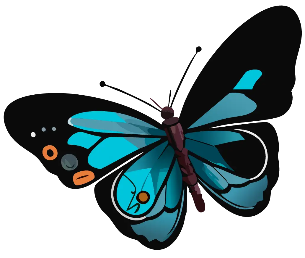 ikası paneli arayüzü